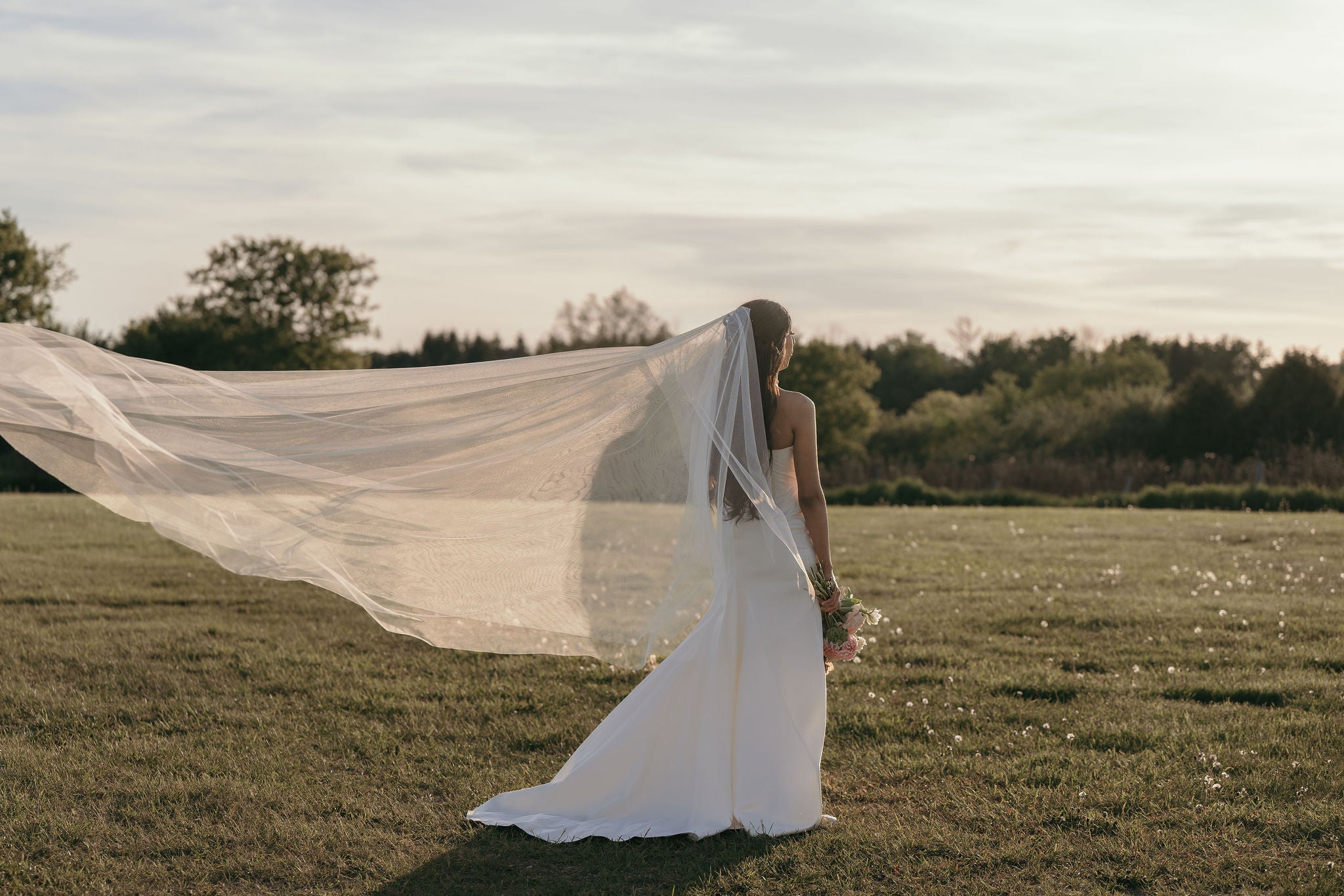 DELPHINE Wedding Drop Veil
