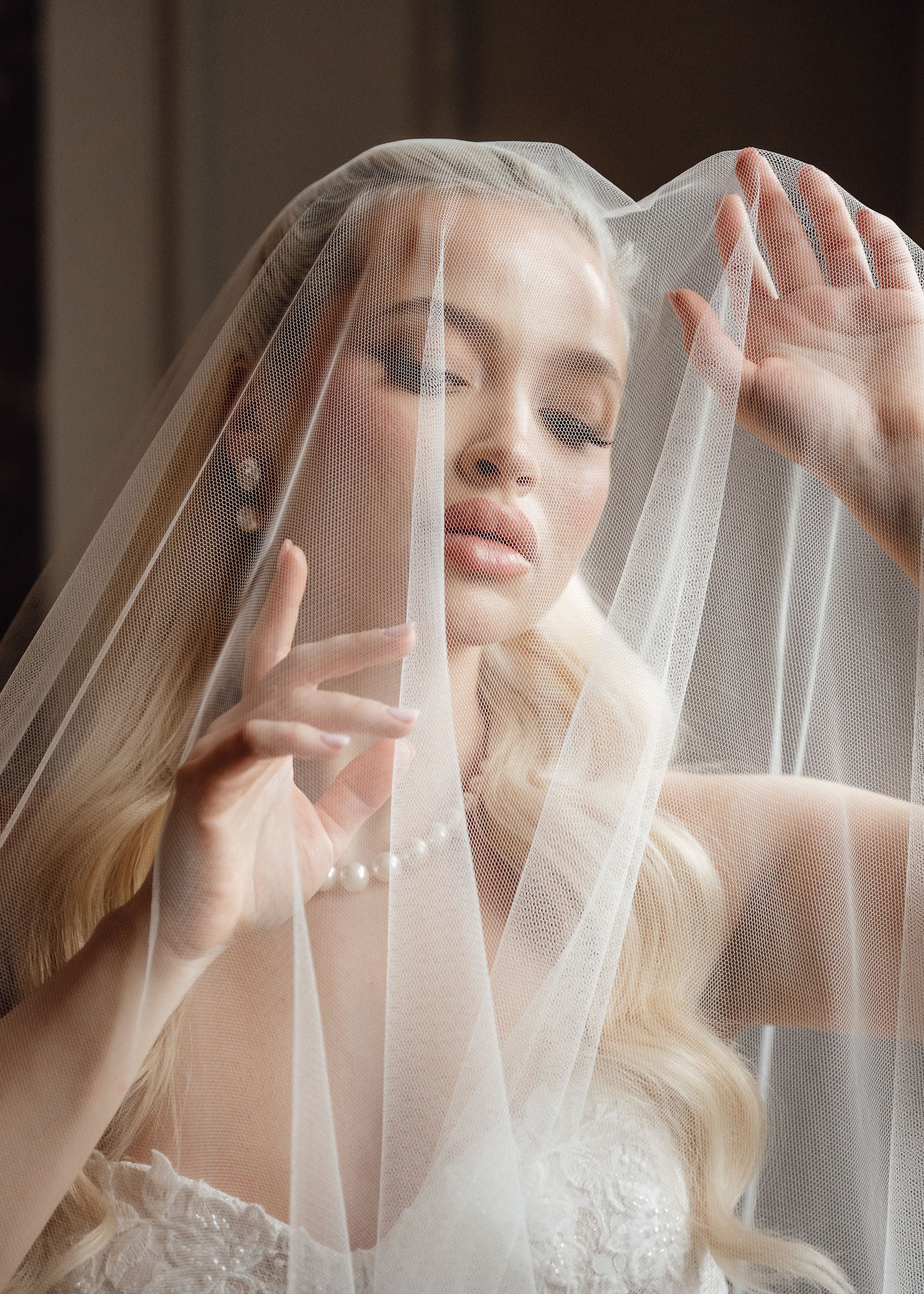 DELPHINE Wedding Drop Veil