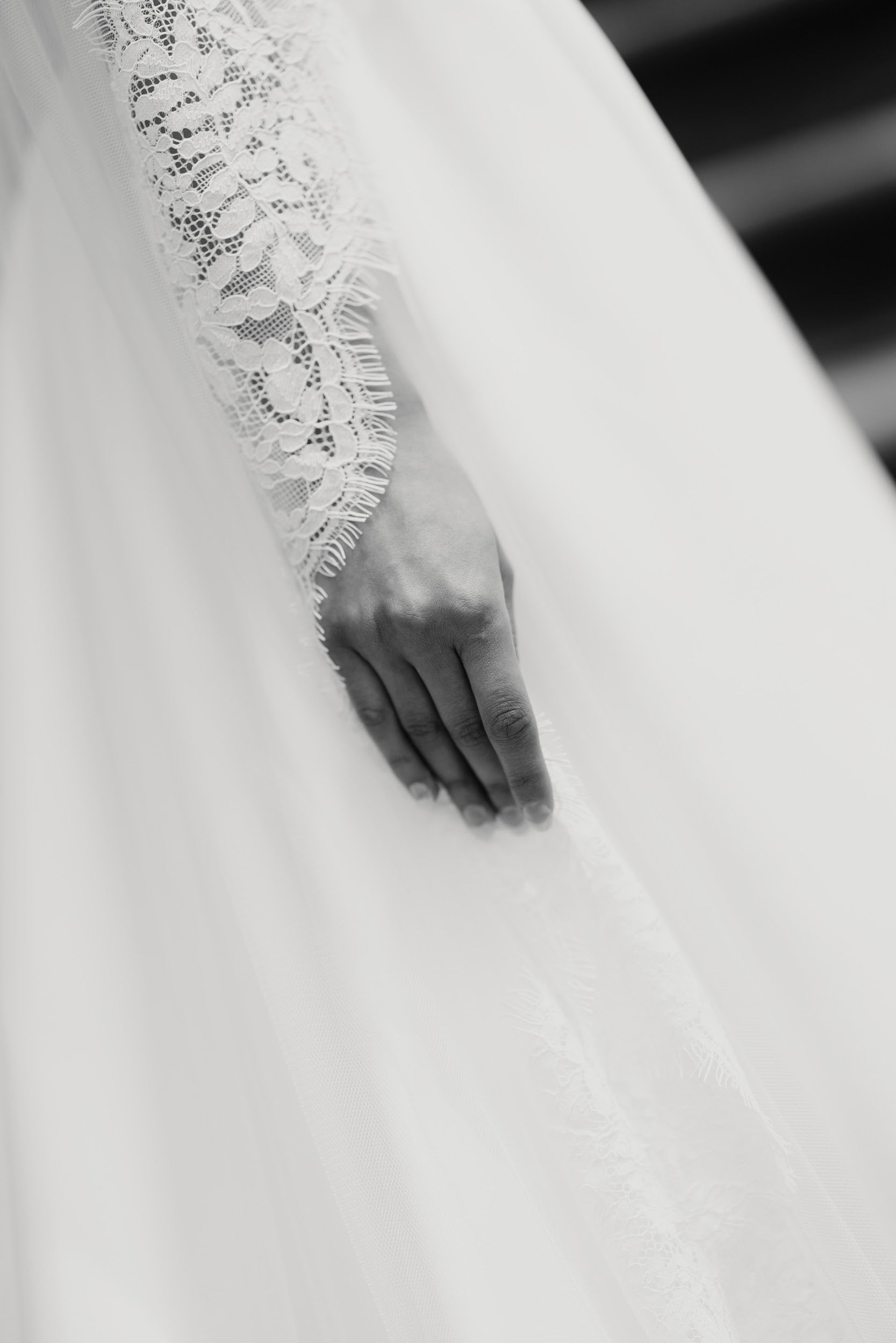 CASSIE Lace Trim Mantilla Veil