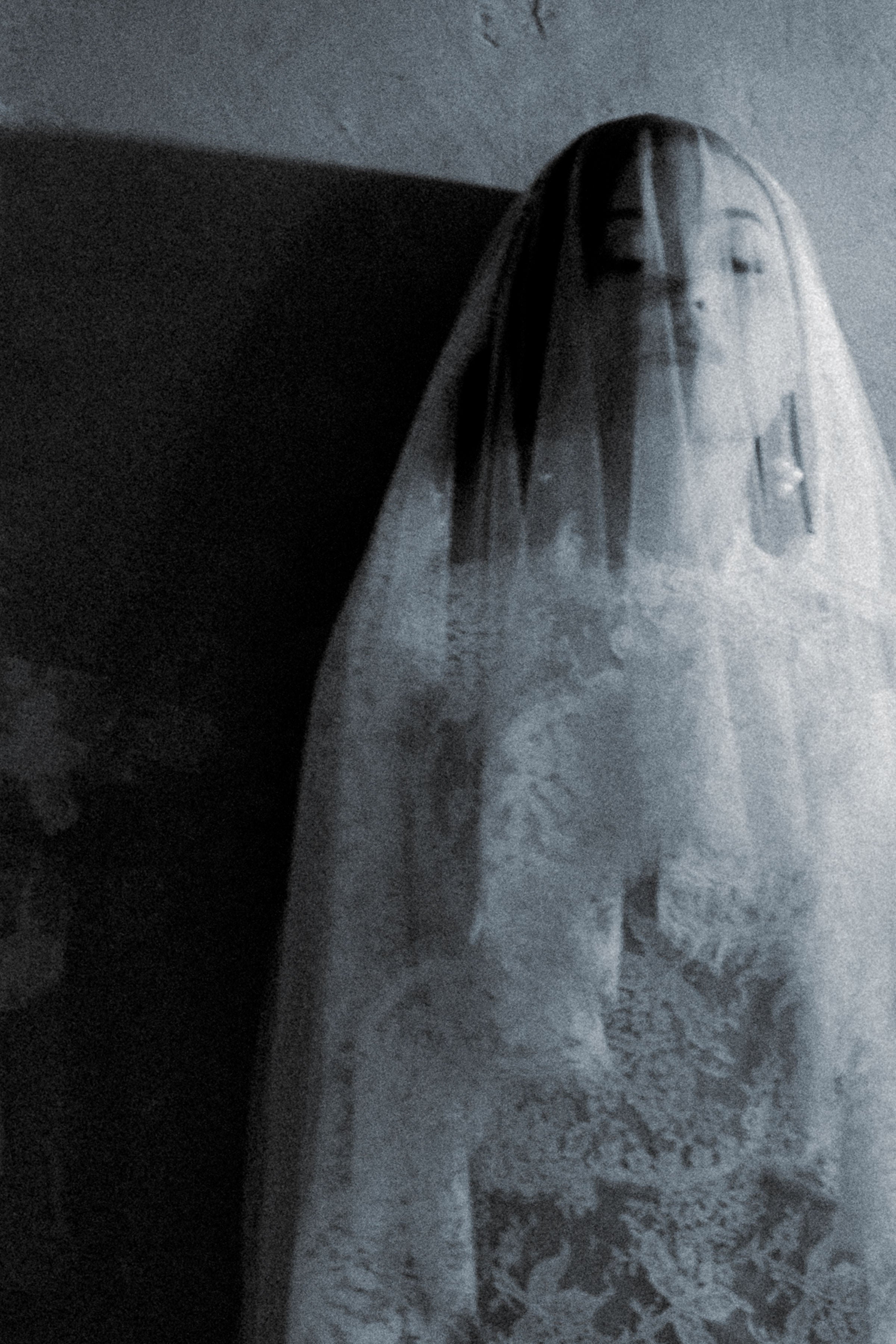 CASSIE Lace Trim Mantilla Veil