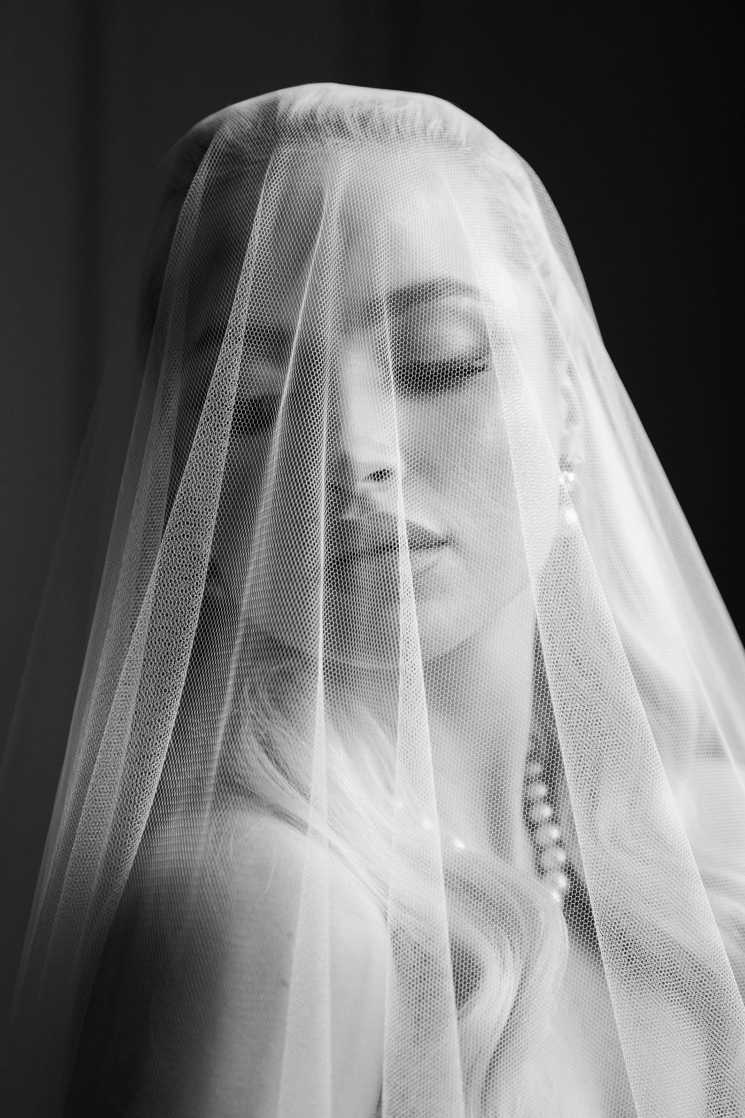 DELPHINE Wedding Drop Veil