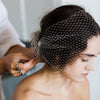 simple ivory birdcage veil for with pearls for modern brides