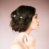 Silver Crystal Bridal Hair Pins - Handmade in Toronto Canada - Blair Nadeau Bridal Adornments - Whitney Heard Photography